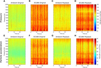 SCUBA noise alters community structure and cooperation at Pederson’s cleaner shrimp cleaning stations